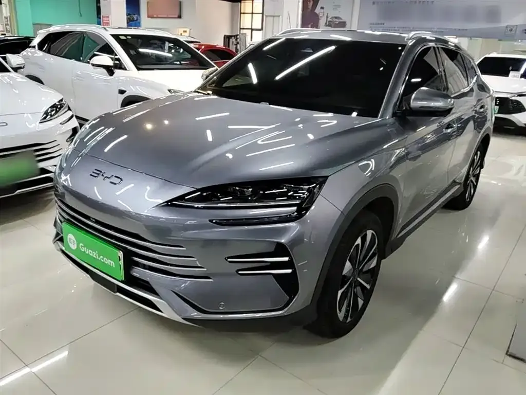 BYD PLUS New Energy — фото 1