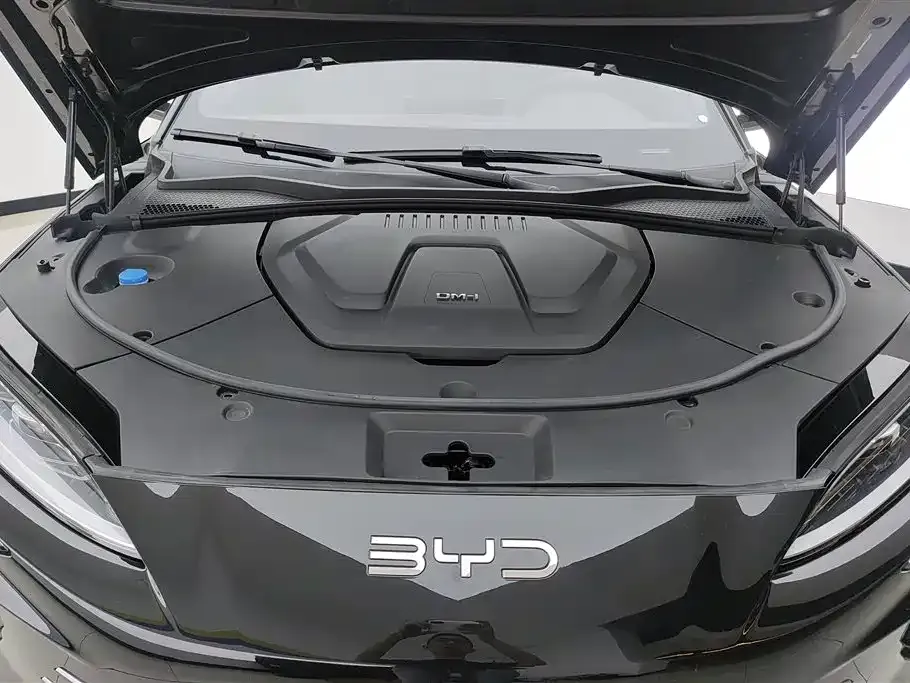 BYD PLUS New Energy — фото 6