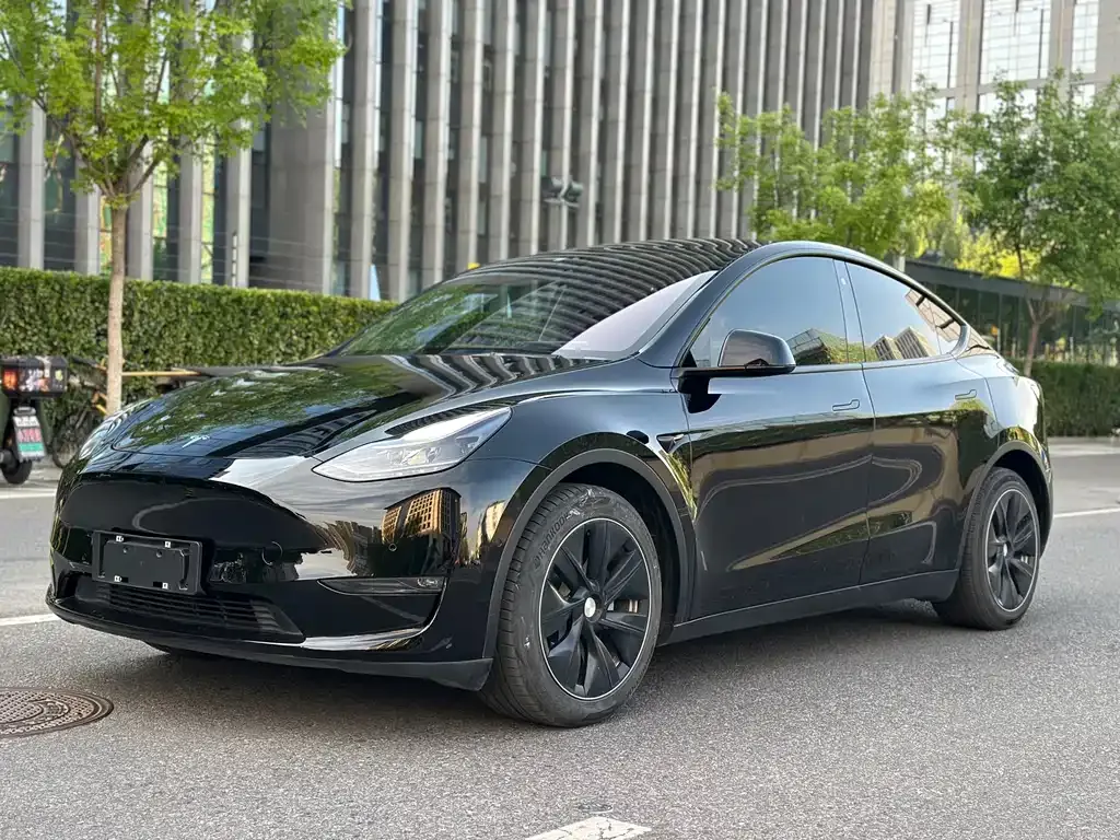 Tesla Model Y 2021 из CN, фото 1
