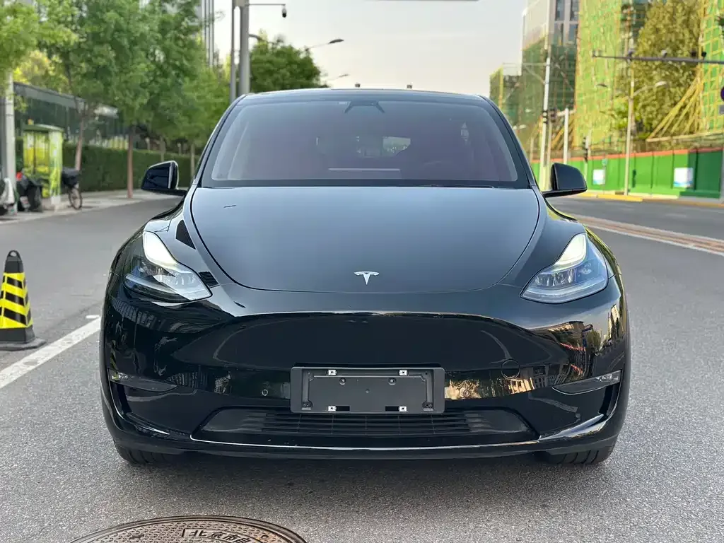 Tesla Model Y 2021 из CN, фото 3
