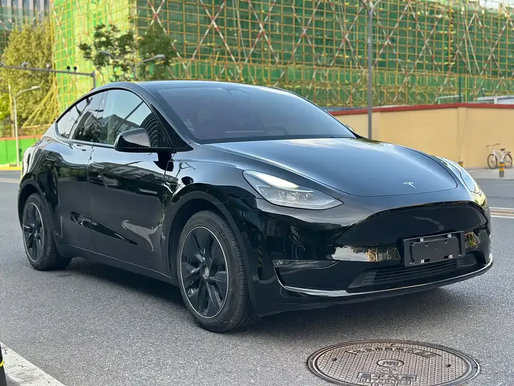 Tesla Model Y 2021 из CN, фото 9