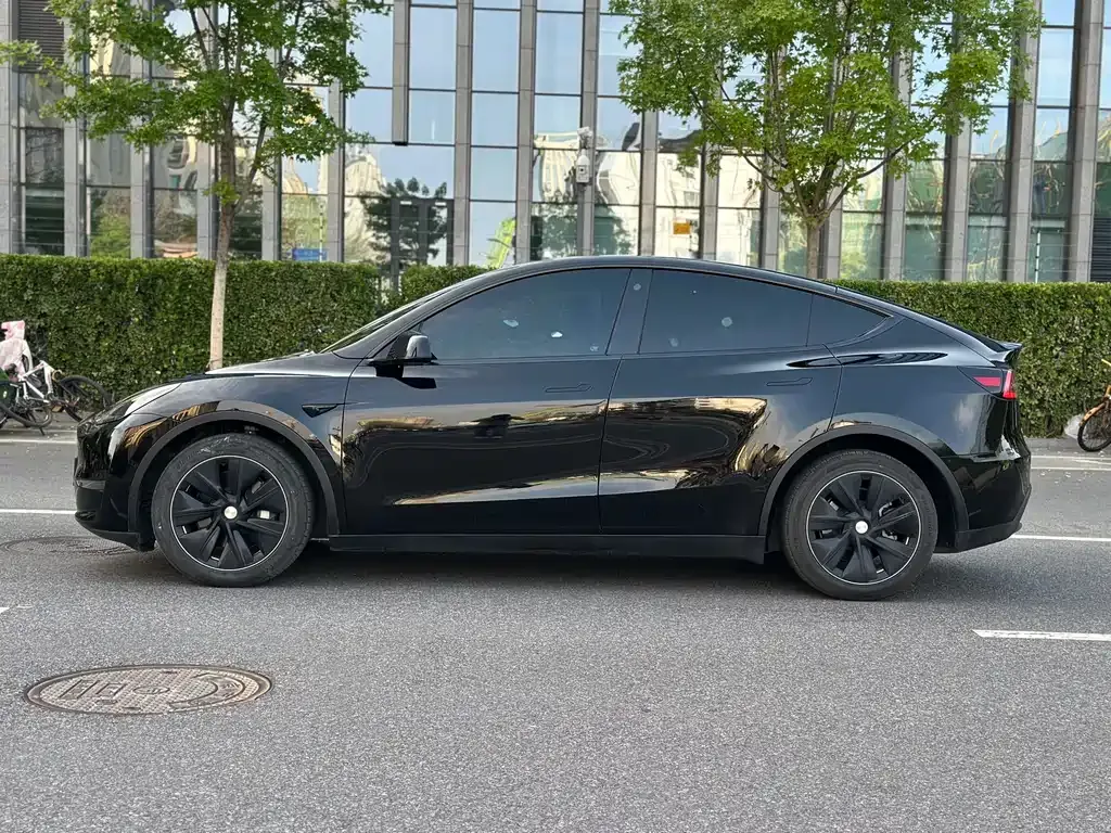Tesla Model Y 2021 из CN, фото 4