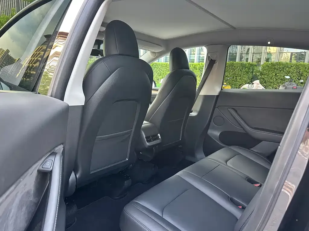 Tesla Model Y 2021 из CN, фото 5