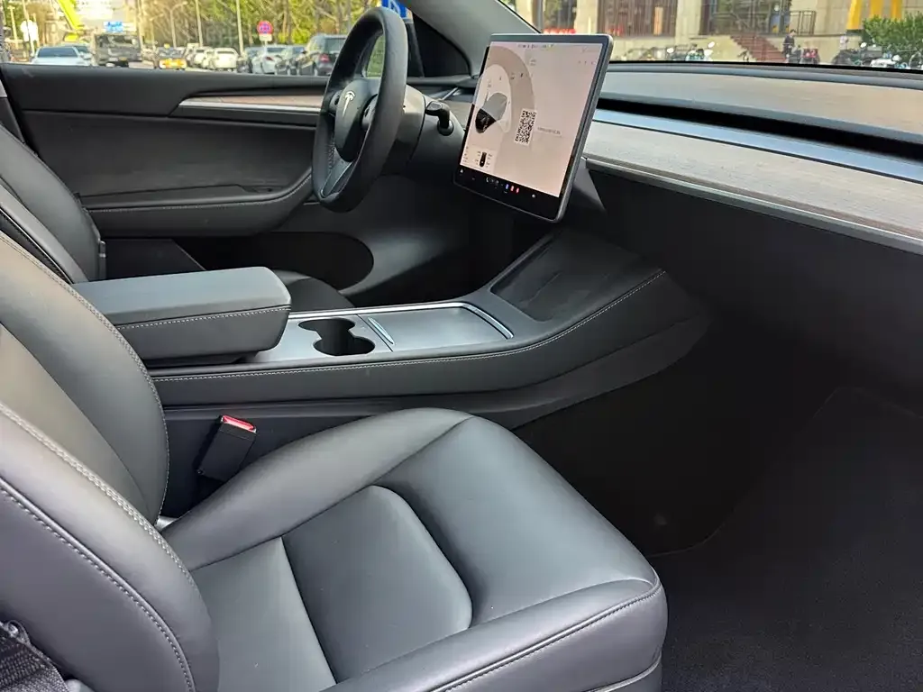 Tesla Model Y 2021 из CN, фото 6