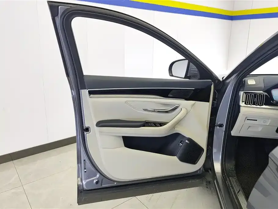 BYD PLUS New Energy — фото 4