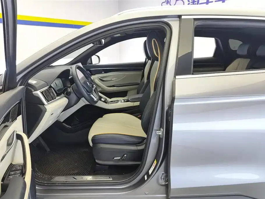 BYD PLUS New Energy — фото 10