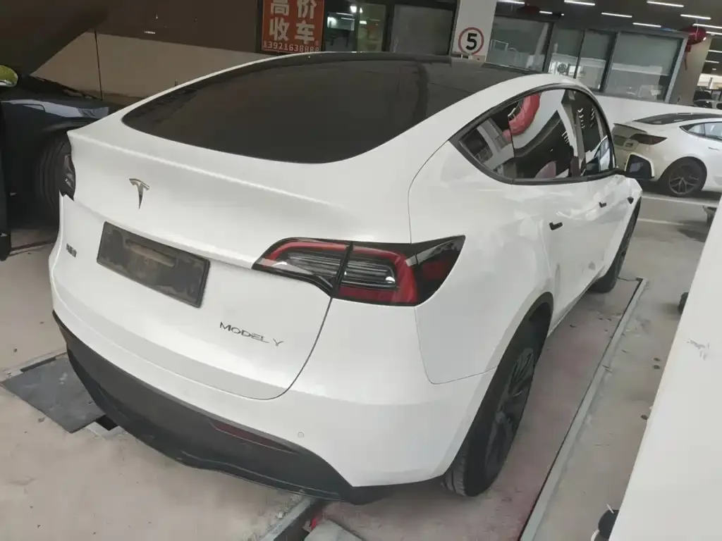 Tesla Model Y — фото 3