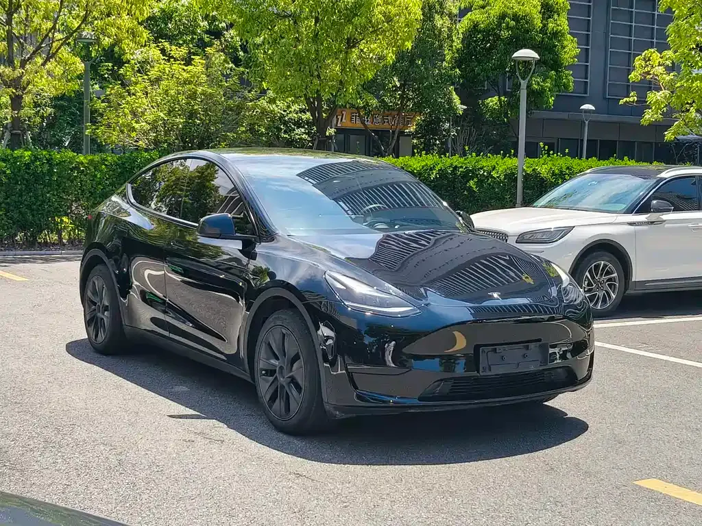 Tesla Model Y — фото 8