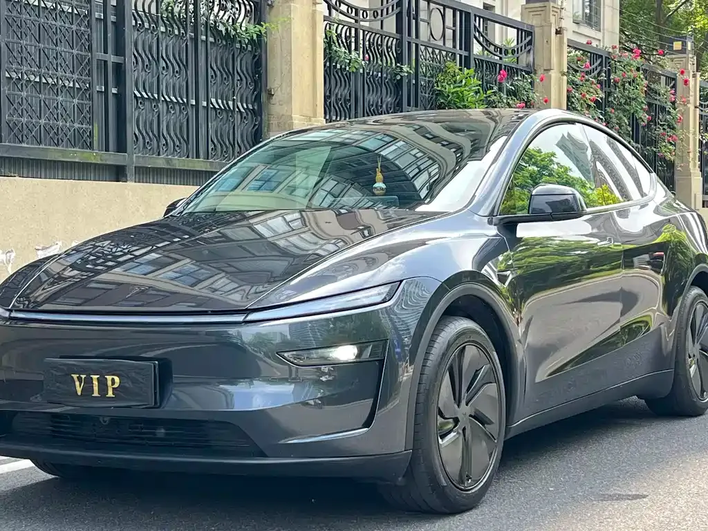 Tesla Model Y — фото 1