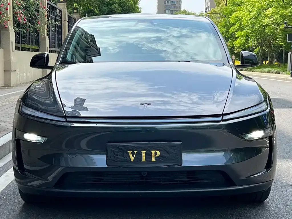 Tesla Model Y — фото 2