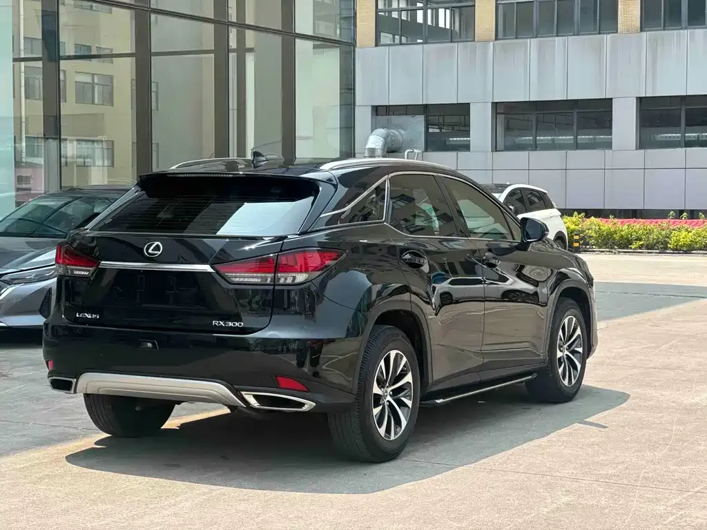 Lexus RX — фото 6
