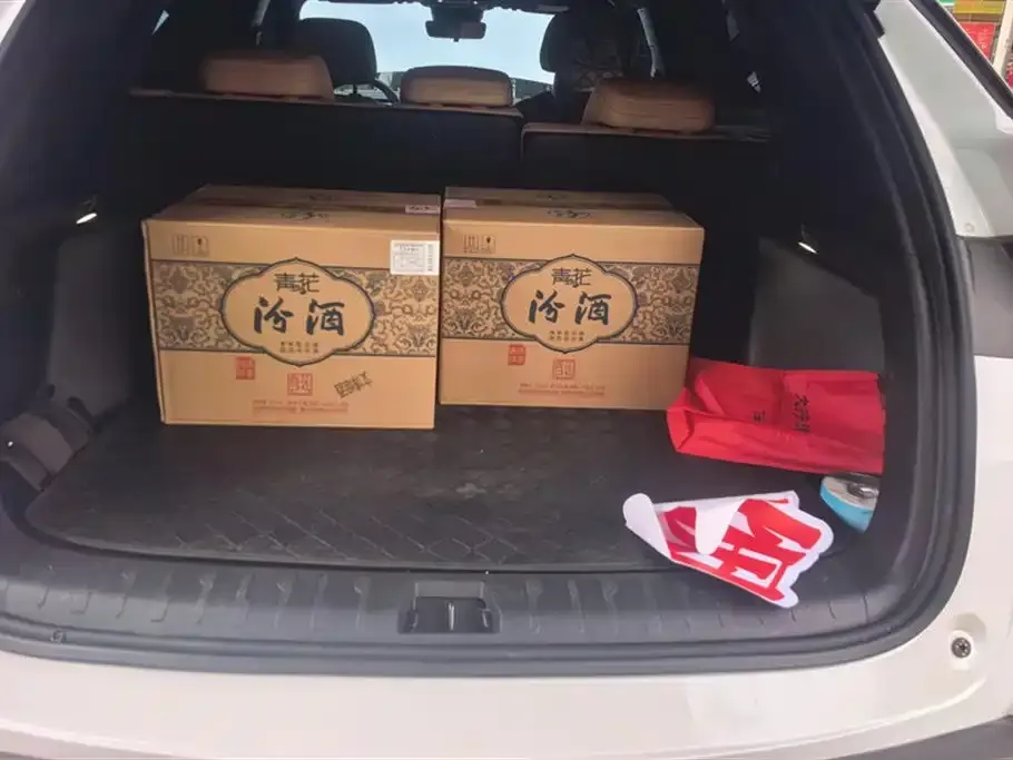 BYD L DM-i 2025 из CN, фото 2