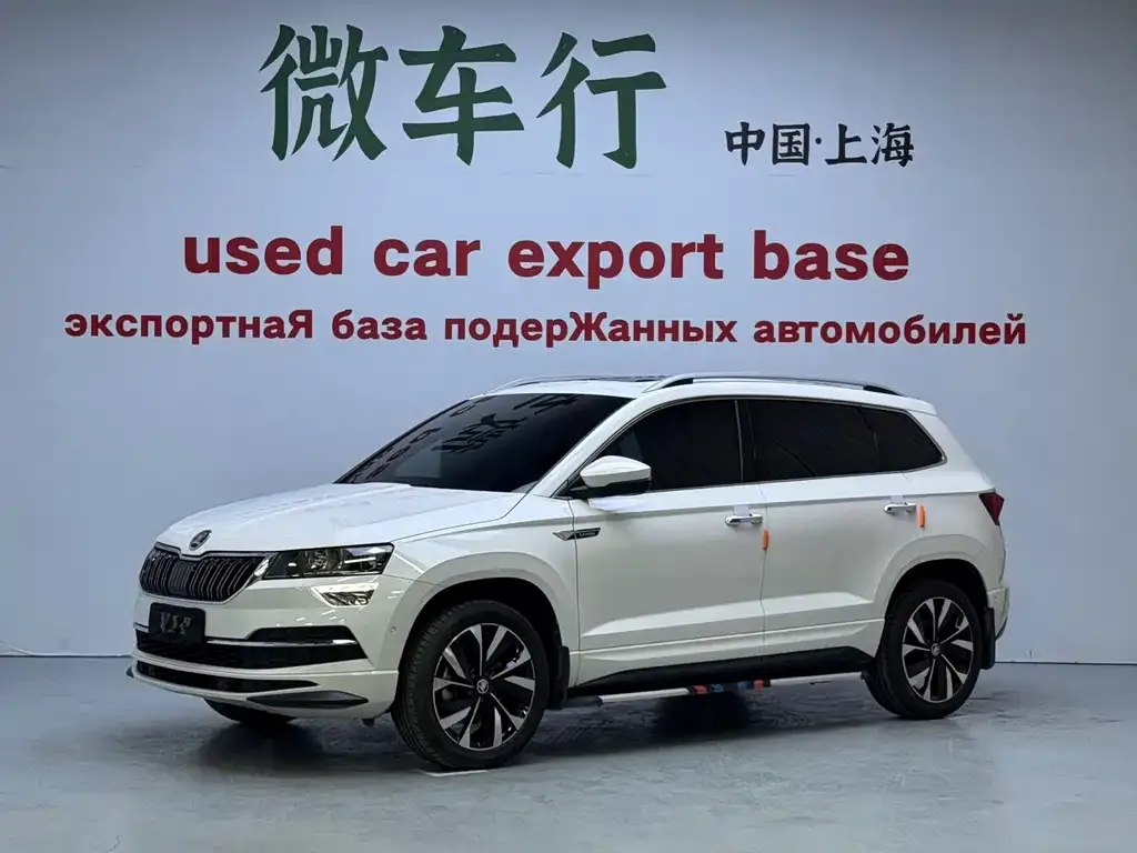 Skoda Karoq 2022 из CN, фото 1