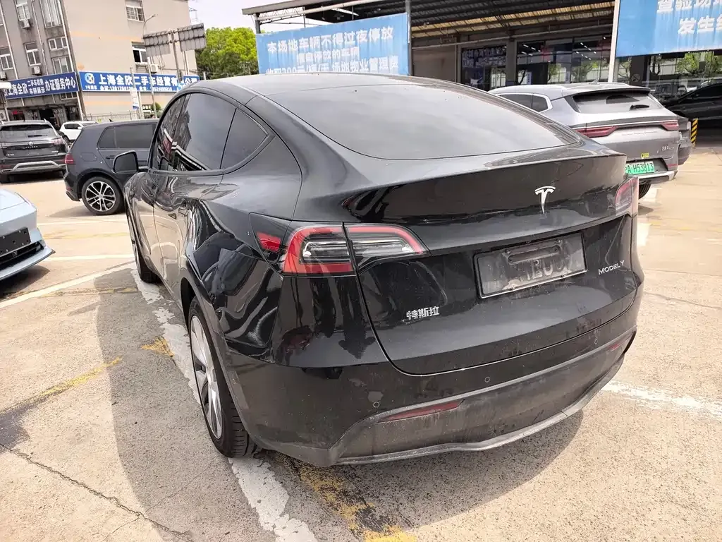 Tesla Model Y — фото 6