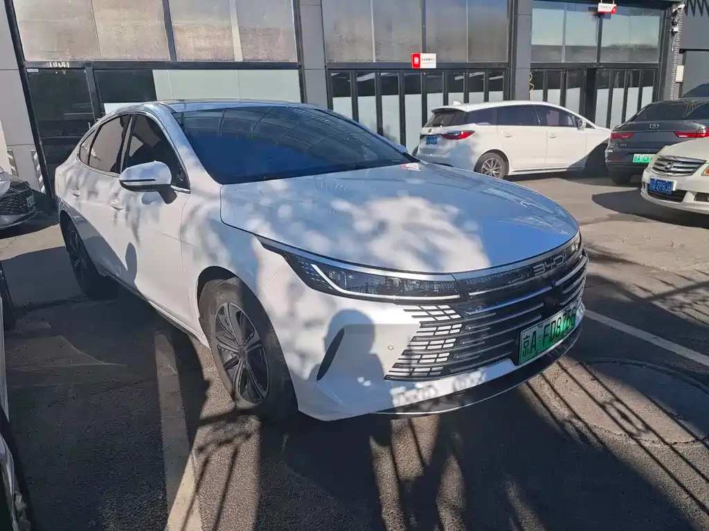 BYD Destroyer 05 2024 из CN, фото 6