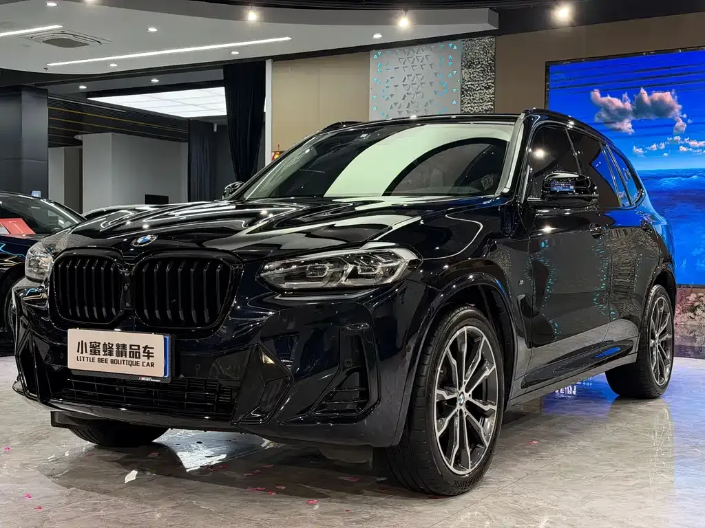 BMW X3 — фото 1