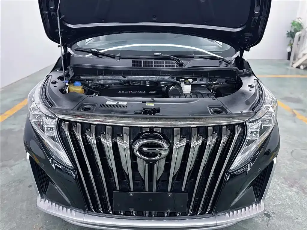 GAC Motor Trumpchi M8 — фото 10