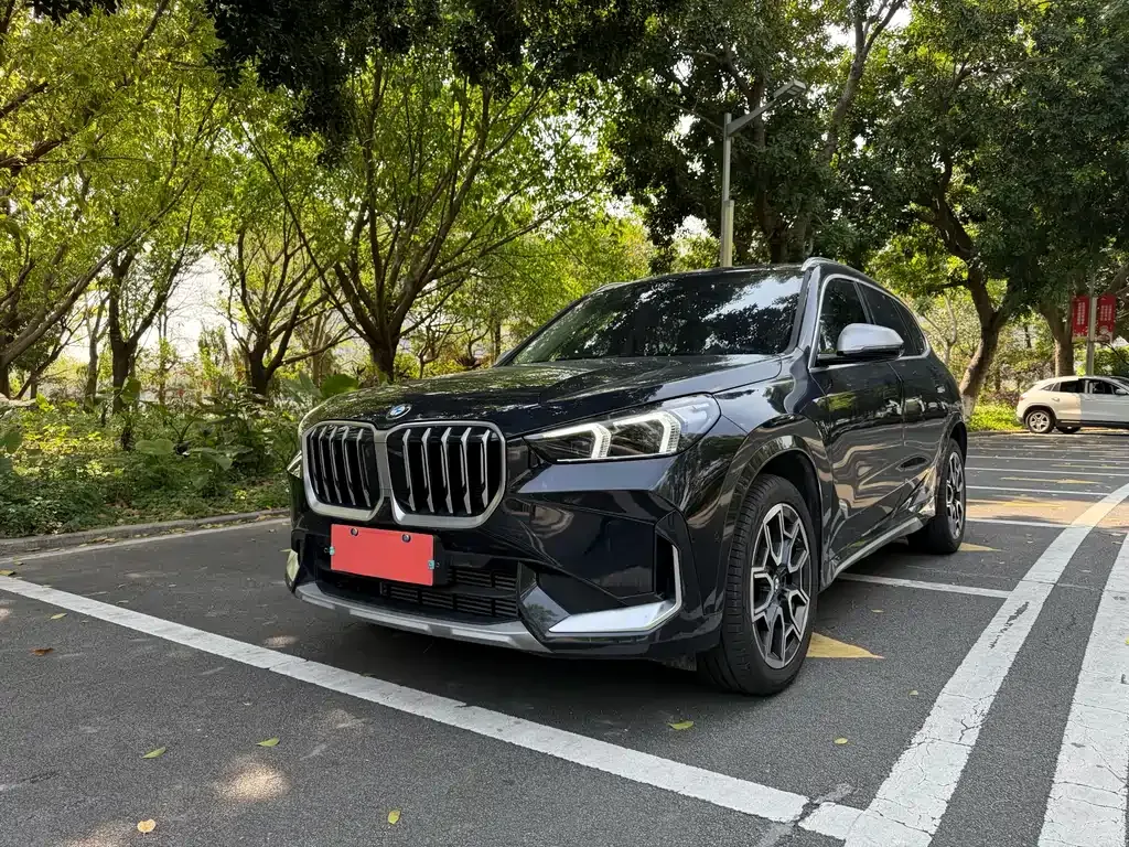 BMW X1 — фото 1