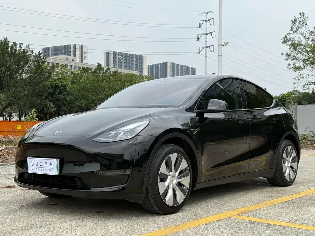 Tesla Model Y — фото 3