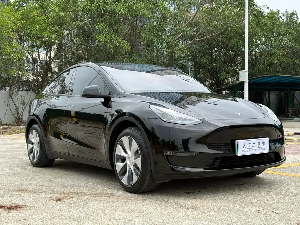 Tesla Model Y — фото 5