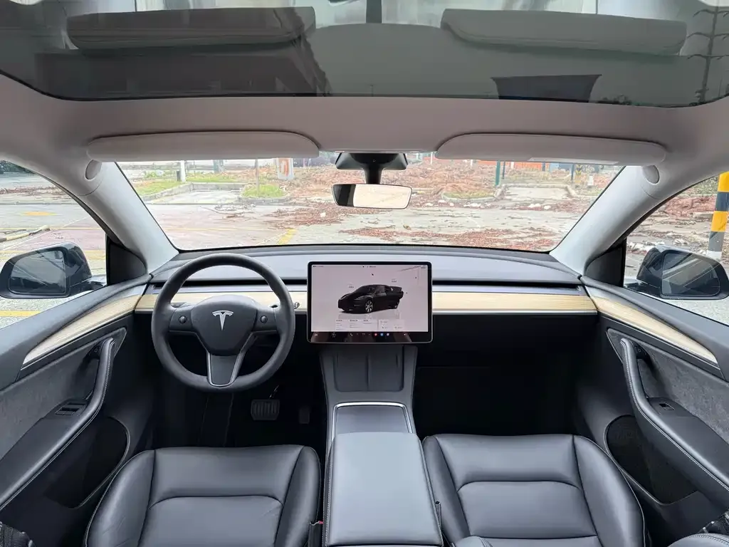 Tesla Model Y — фото 10