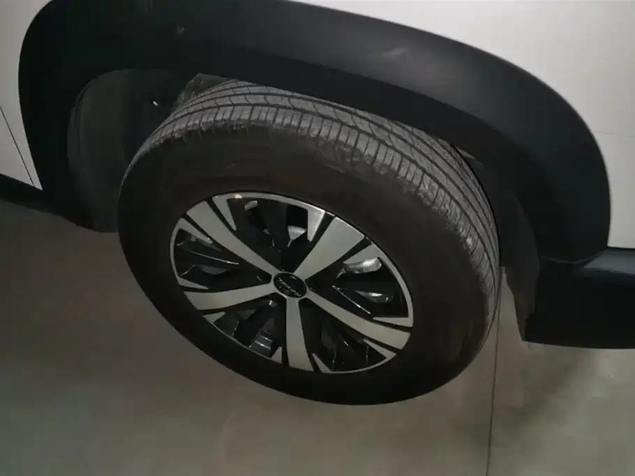 Haval Big Dog — фото 10