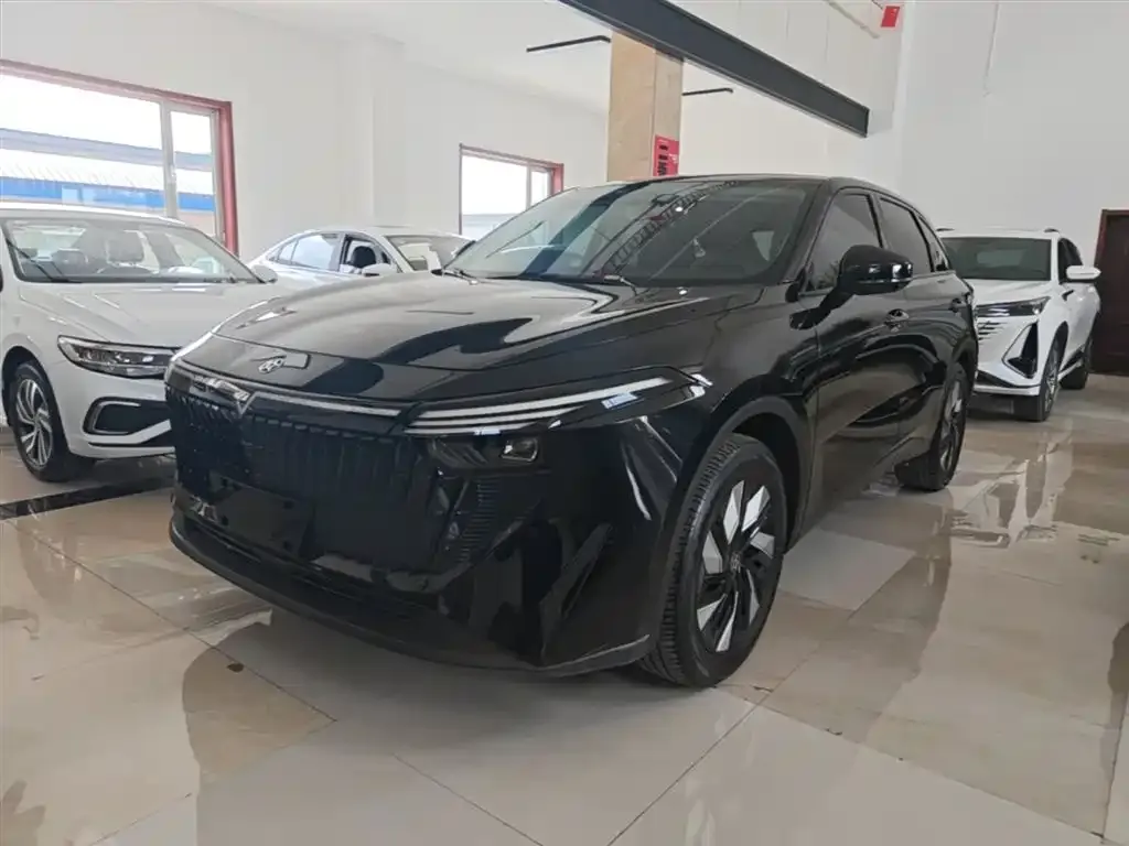 Venucia V DD-i