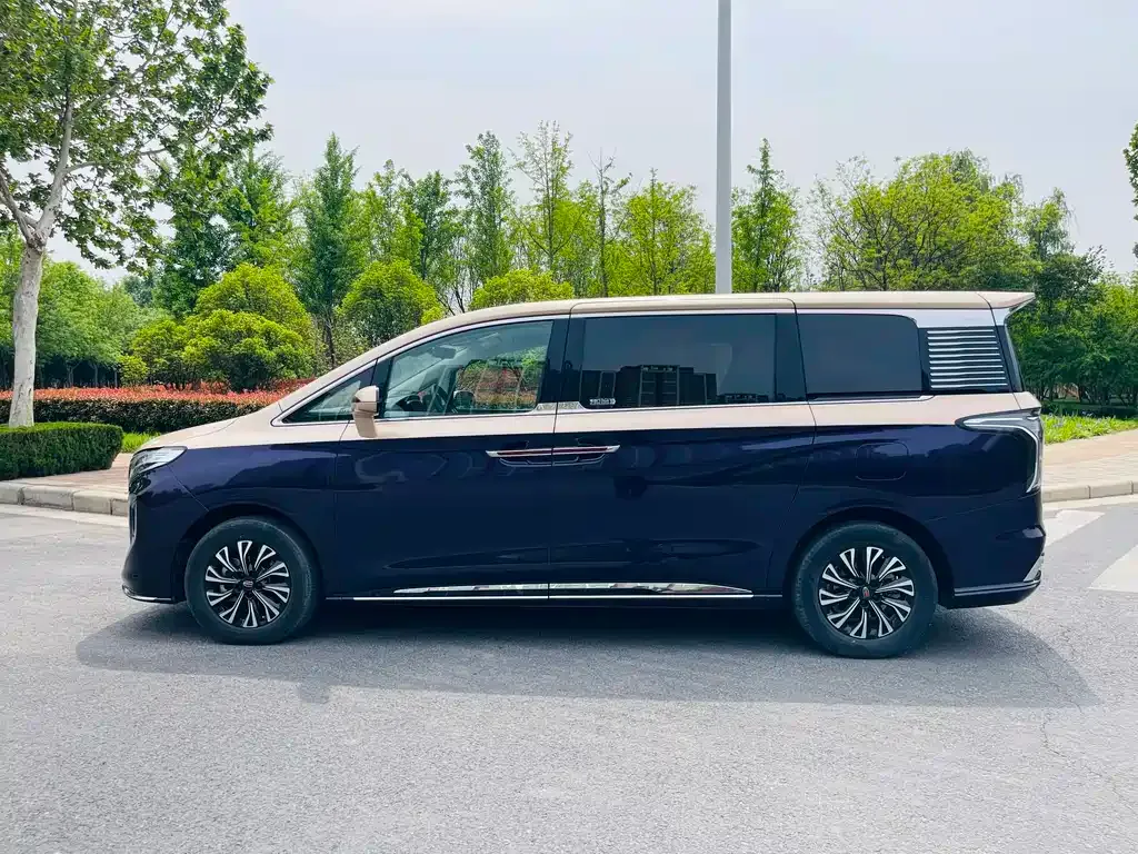 Hongqi HQ9 PHEV 2024 из CN, фото 6