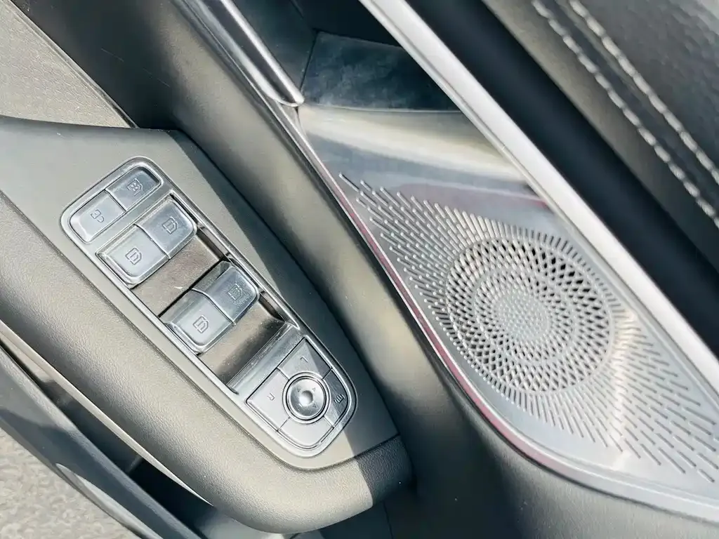 Hongqi HQ9 PHEV 2024 из CN, фото 2