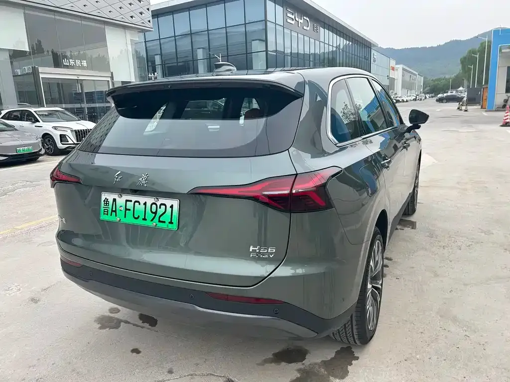 Hongqi HS6 PHEV 2025 из CN, фото 8
