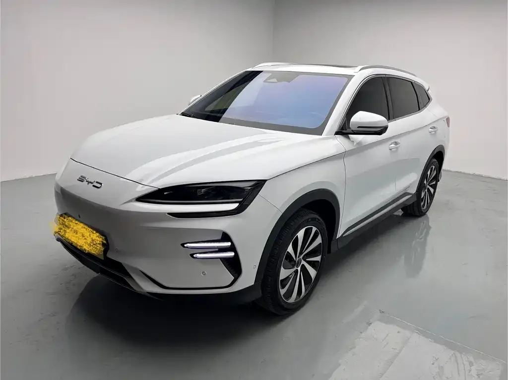 BYD PLUS New Energy — фото 1