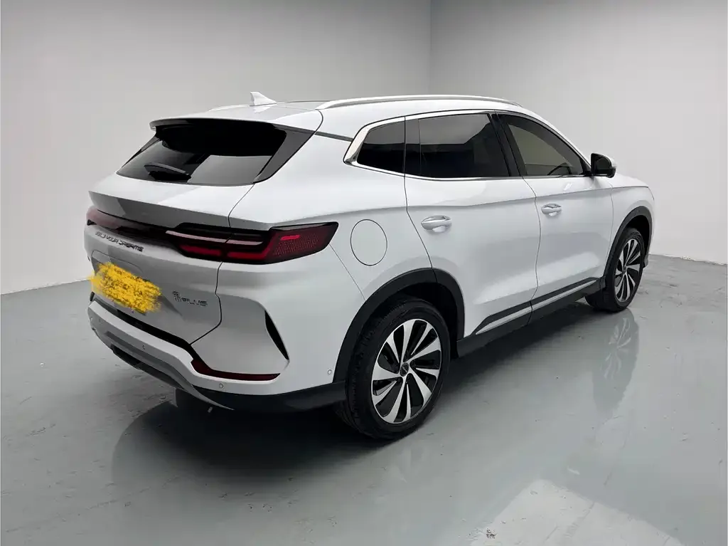 BYD PLUS New Energy — фото 2