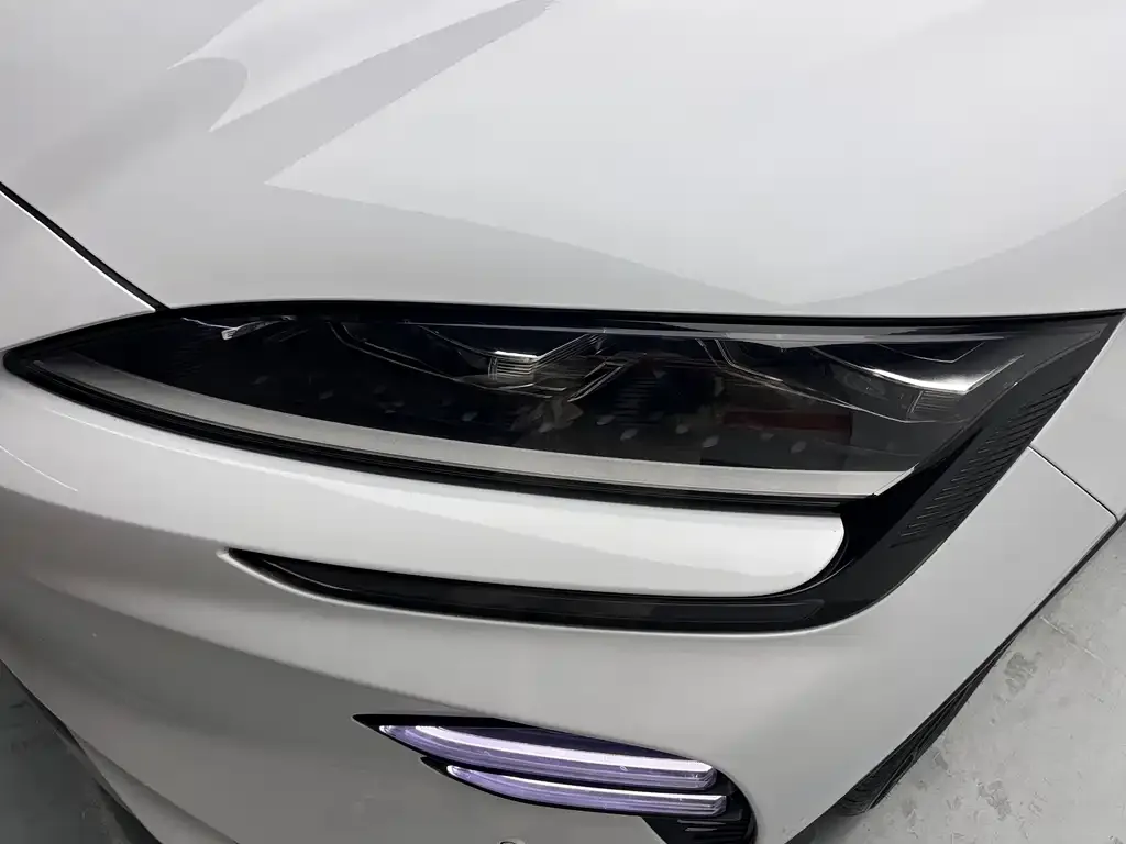 BYD PLUS New Energy — фото 8