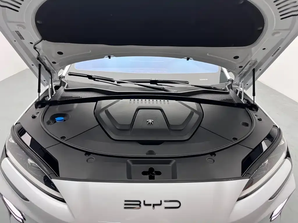 BYD PLUS New Energy — фото 10