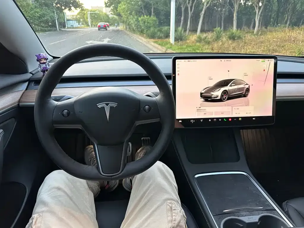 Tesla Model 3 — фото 2