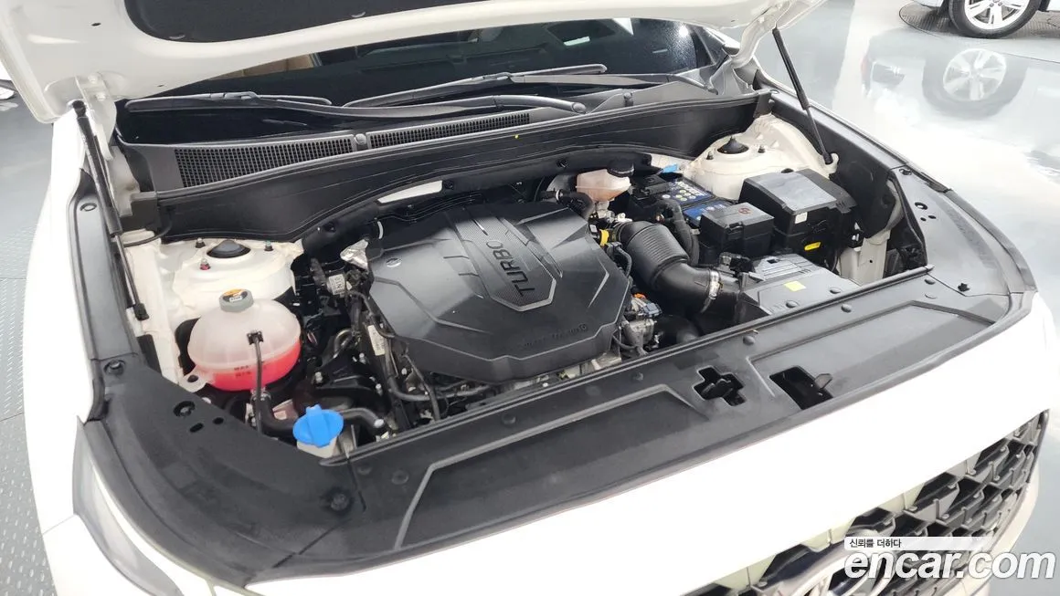 Hyundai Santafe 2022 из KR, фото 9