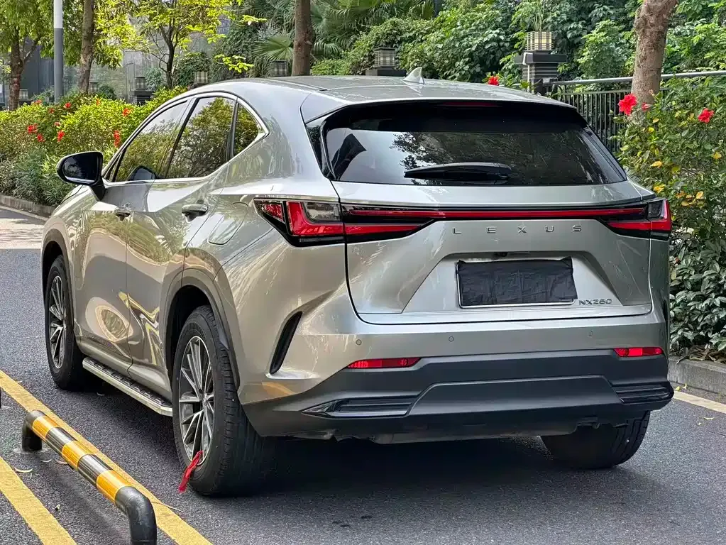 Lexus NX — фото 6