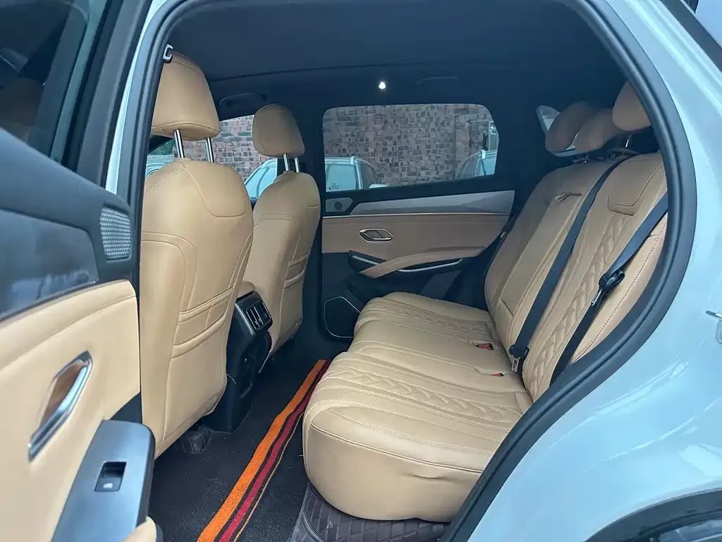 BYD L DM-i 2024 из CN, фото 8