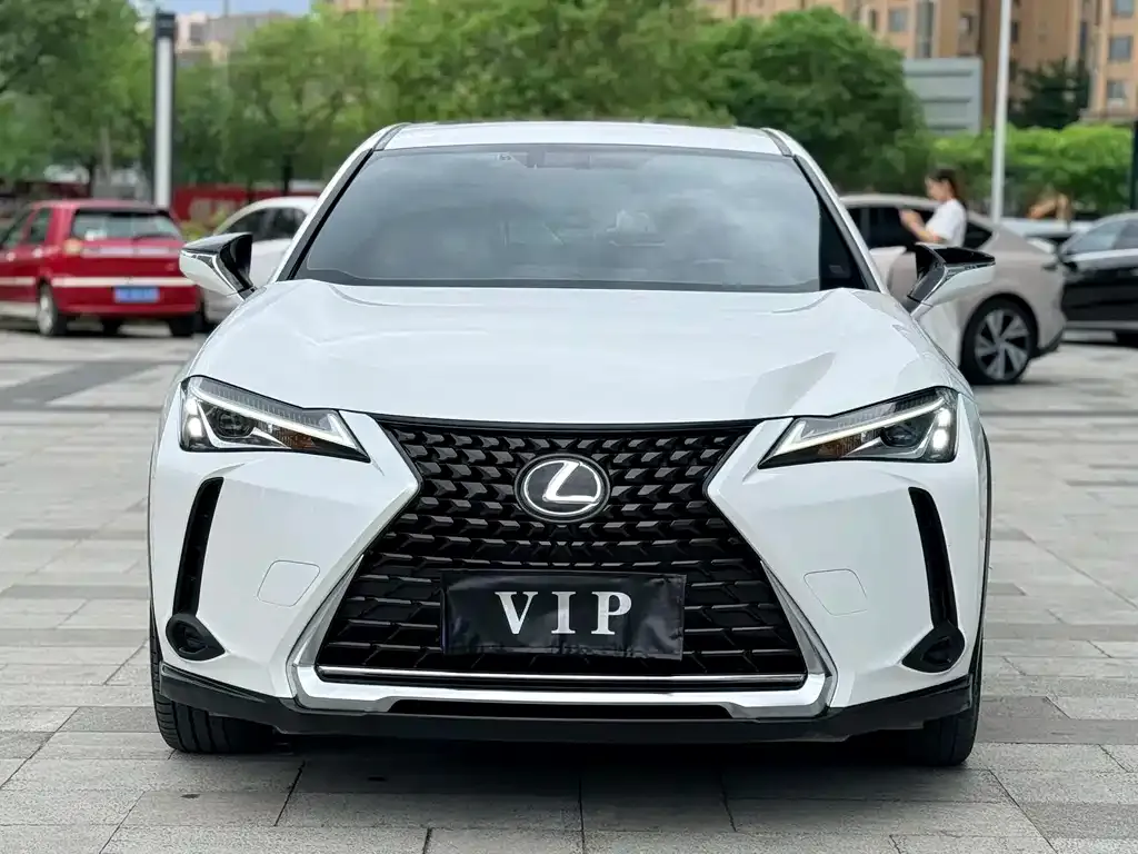 Lexus UX 2022 из CN, фото 7