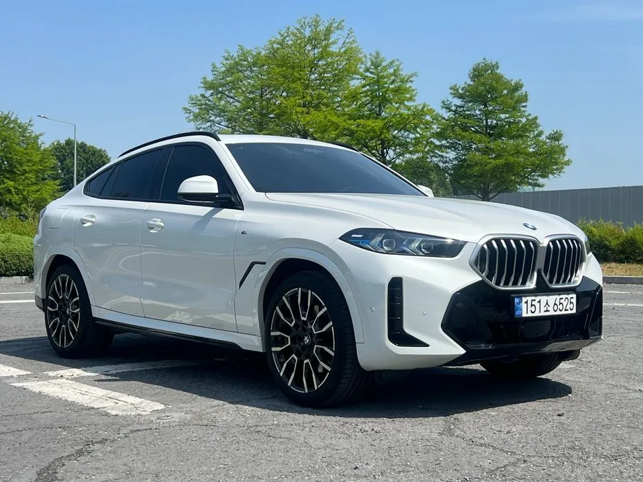BMW X6 — фото 10