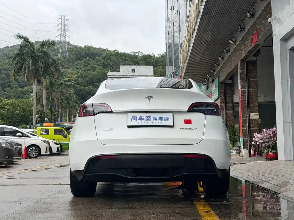 Tesla Model Y — фото 9