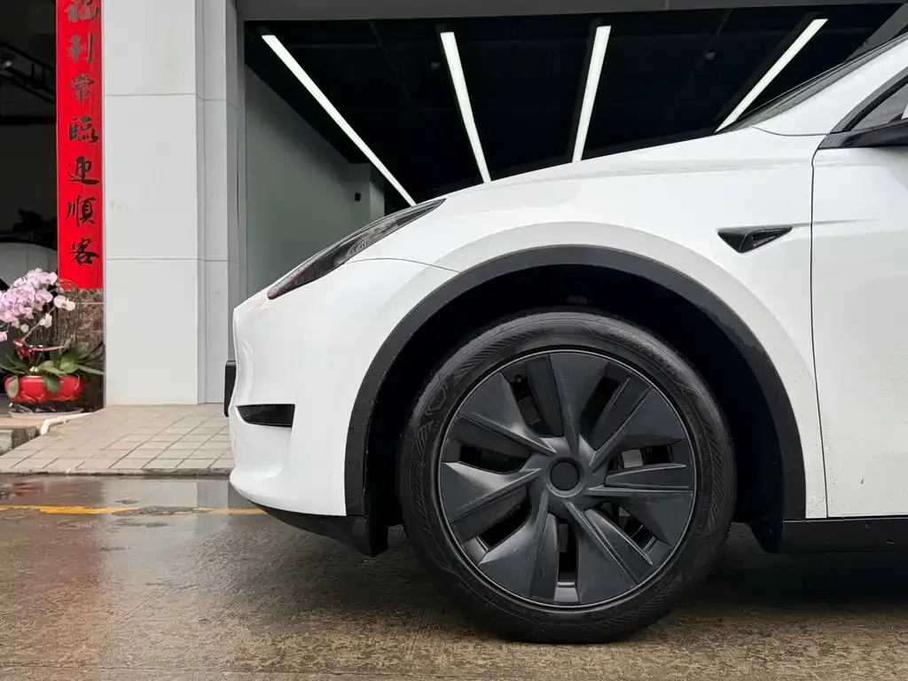 Tesla Model Y — фото 5
