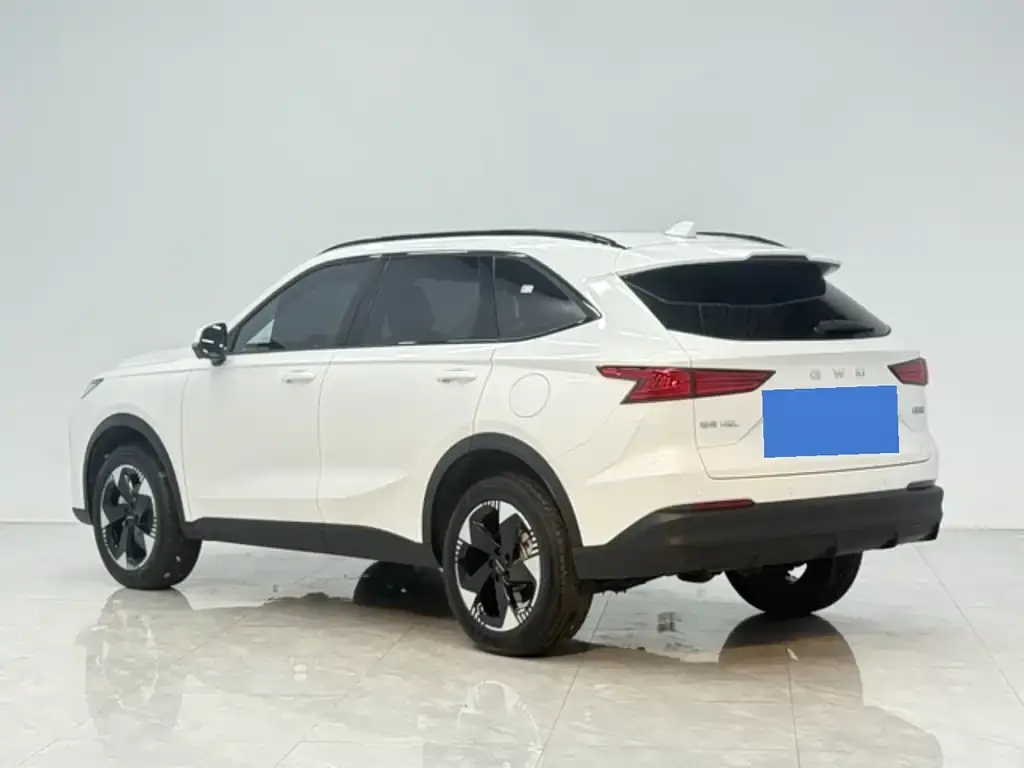 Haval H6L 2025 из CN, фото 9