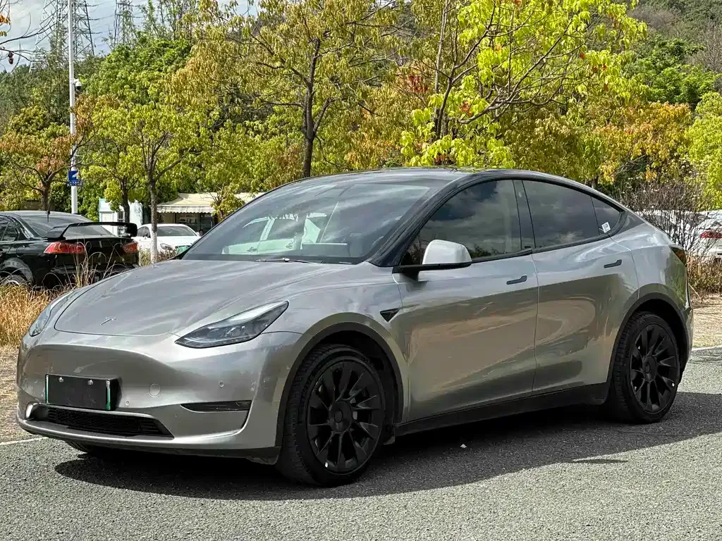 Tesla Model Y — фото 1