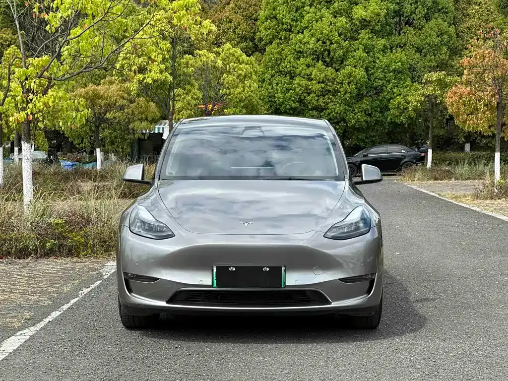 Tesla Model Y — фото 6