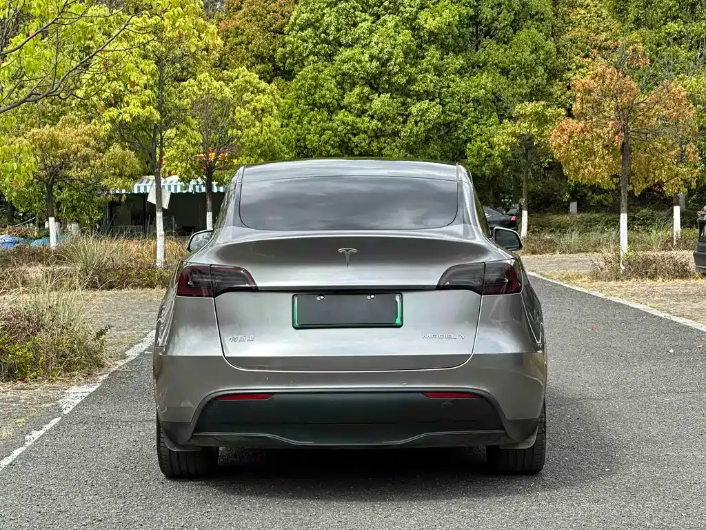 Tesla Model Y — фото 7