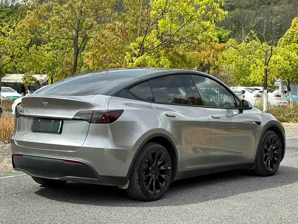 Tesla Model Y — фото 5