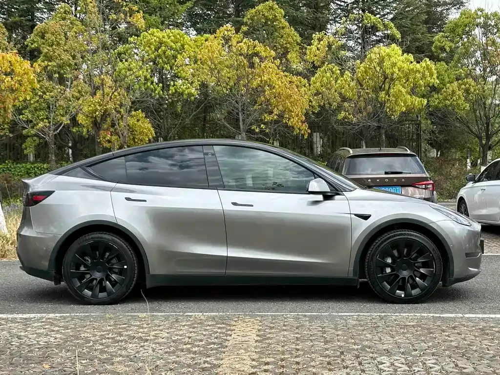 Tesla Model Y — фото 10