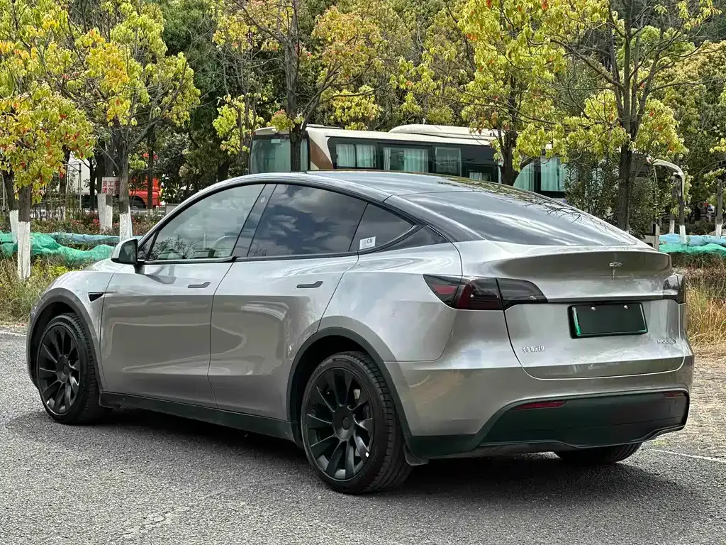 Tesla Model Y — фото 8
