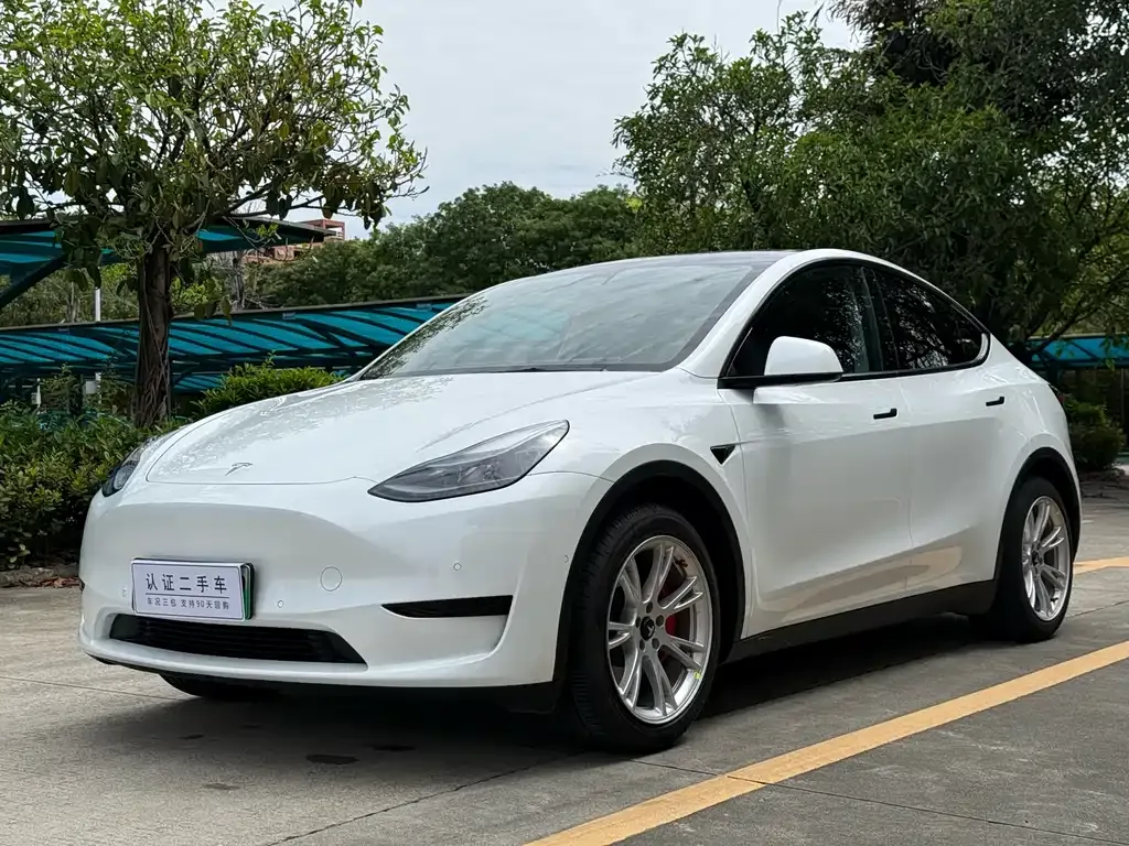 Tesla Model Y — фото 1